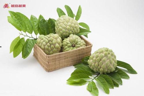 番鬼瓜怎样吃,解锁美味新体验