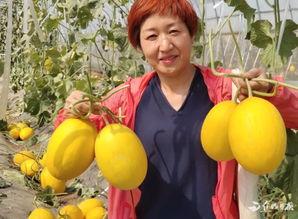 沁阳高中吃瓜,吃瓜群众揭秘校园生活点滴