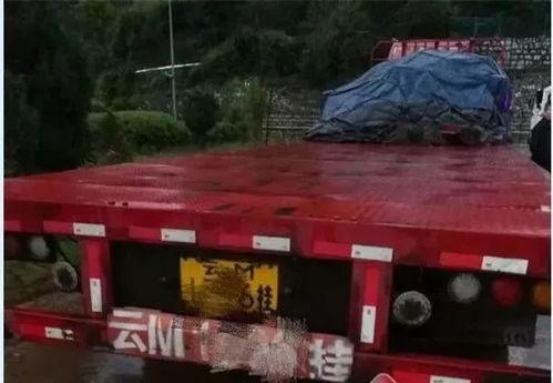 司机撞车吃瓜视频,网友热议交通安全意识