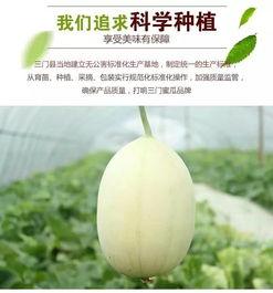 浙江台州常吃的瓜,台州特色瓜类美食大盘点