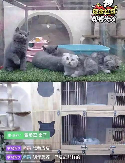 炸裂现场吃瓜,吃瓜群众围观揭秘！