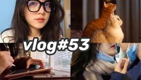 疫情期间吃瓜女孩的日常,网络热议背后的生活点滴