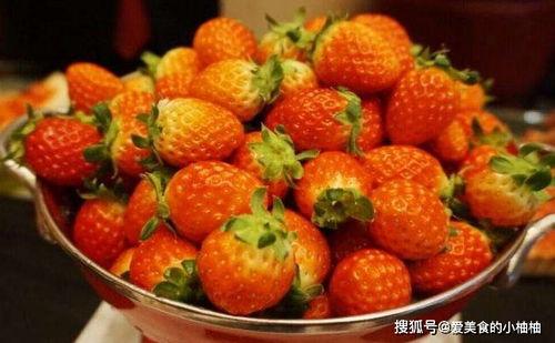 超级草莓吃瓜,吃瓜群众的狂欢盛宴