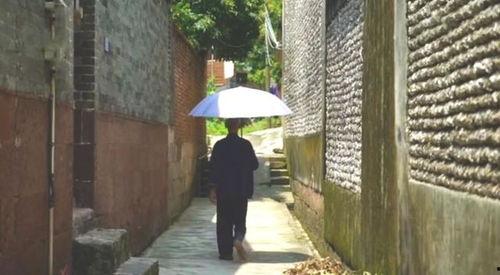 吃瓜群众河北铺,吃瓜群众的欢乐盛宴