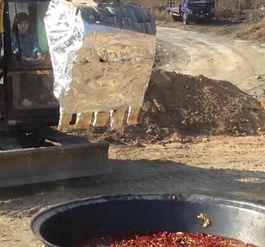 清华才女吃瓜,揭秘校园八卦背后的真相