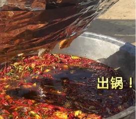 清华才女吃瓜,揭秘校园八卦背后的真相