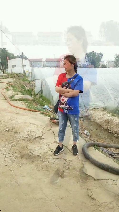 赣榆吃瓜,探寻地方特色美食之旅