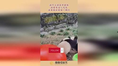 渝可吃瓜,揭秘重庆美食背后的故事与风情