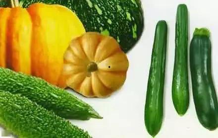 南戴河吃瓜,瓜果飘香,尽享清凉时光