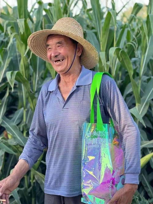 绿油油蜜瓜怎么吃,绿油油蜜瓜的多样食法探索